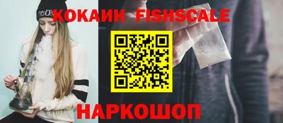 Альфа ПВП Гатчина