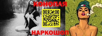Альфа ПВП Гатчина