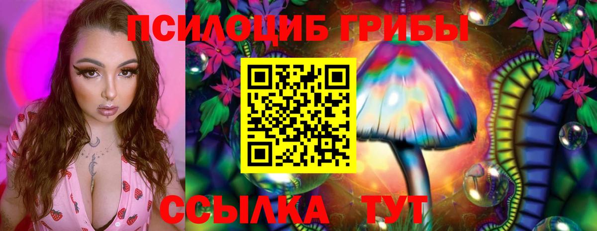 Псилоцибиновые грибы GOLDEN TEACHER  Псилоцибиновые грибы Psilocybine cubensis  Ртищево  Вход с VPN 